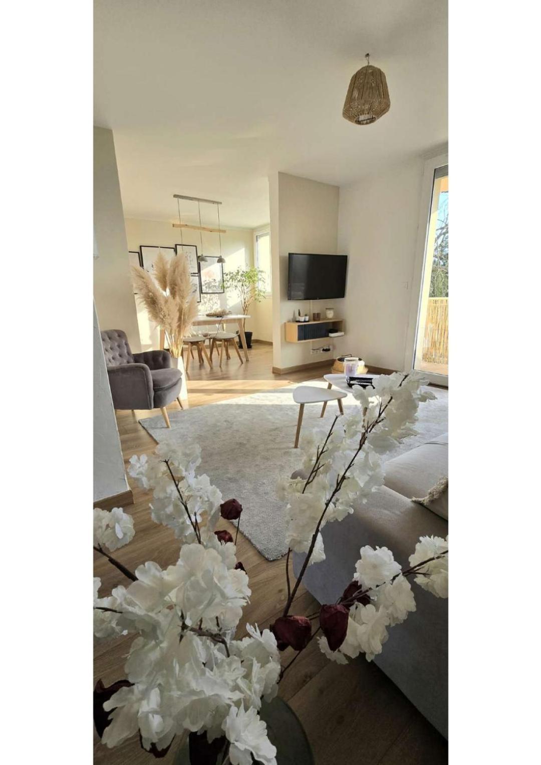 Superbe T3 Cosy, Parking Gratuit + Balcon Apartment Риом Екстериор снимка
